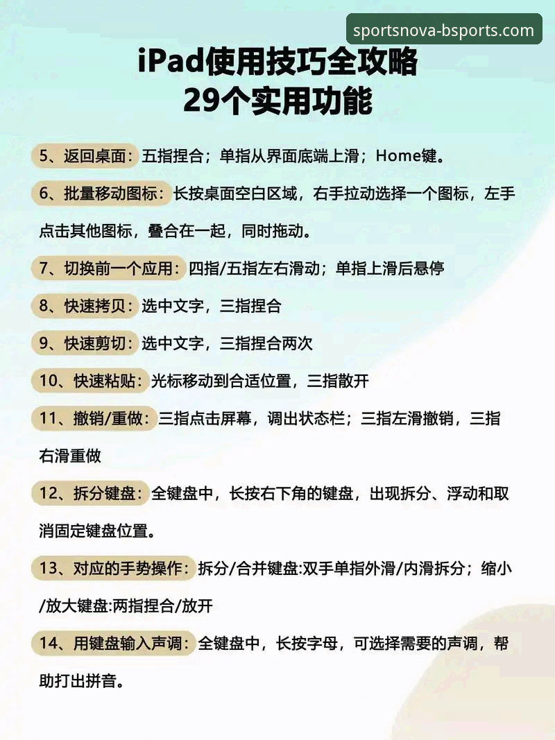 BSports互动体验 BSports互动体验实战心得:资深用户分享高效使用秘籍